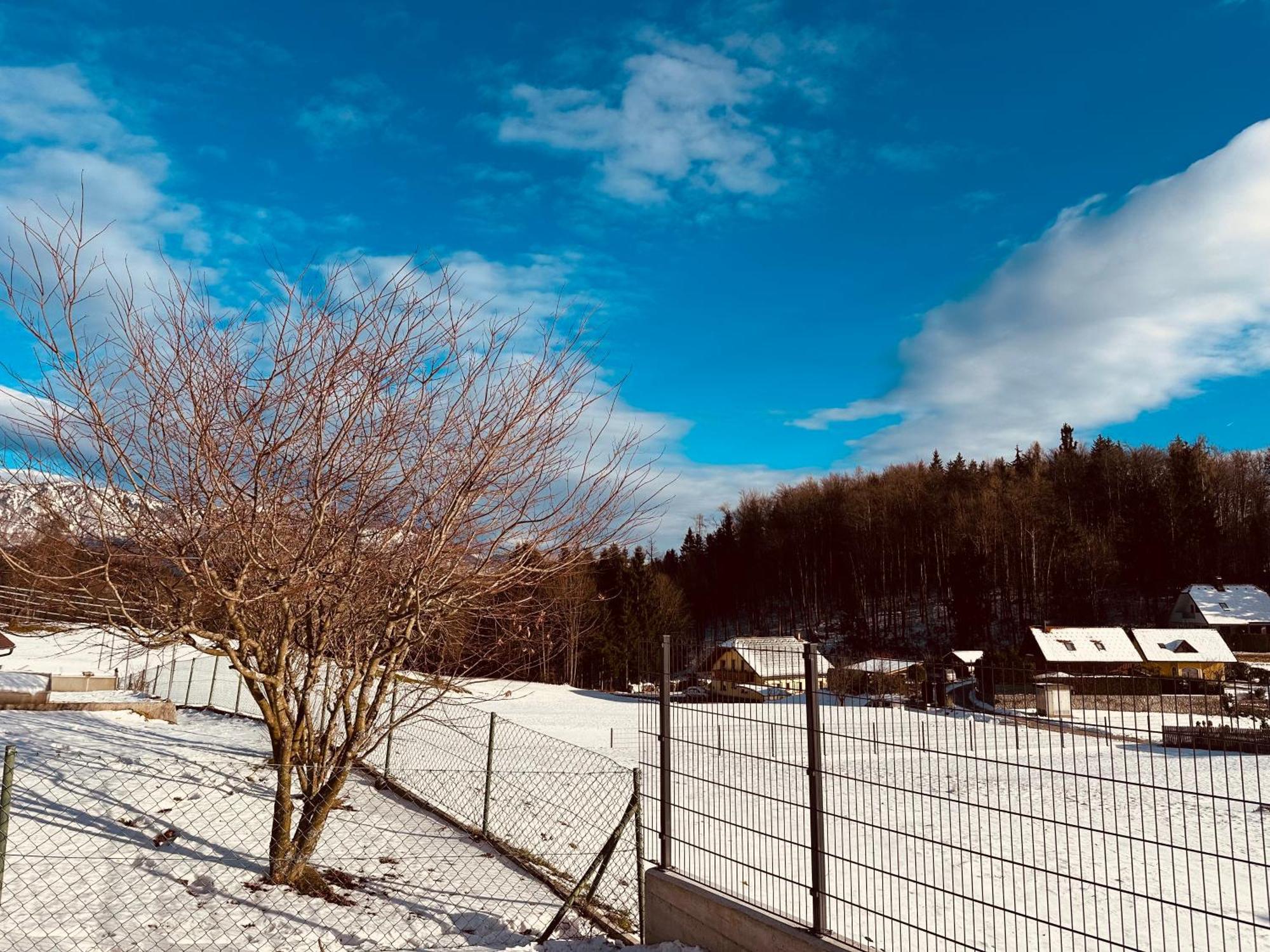 Chalet Pjagodic Cerklje na Gorenjskem Εξωτερικό φωτογραφία