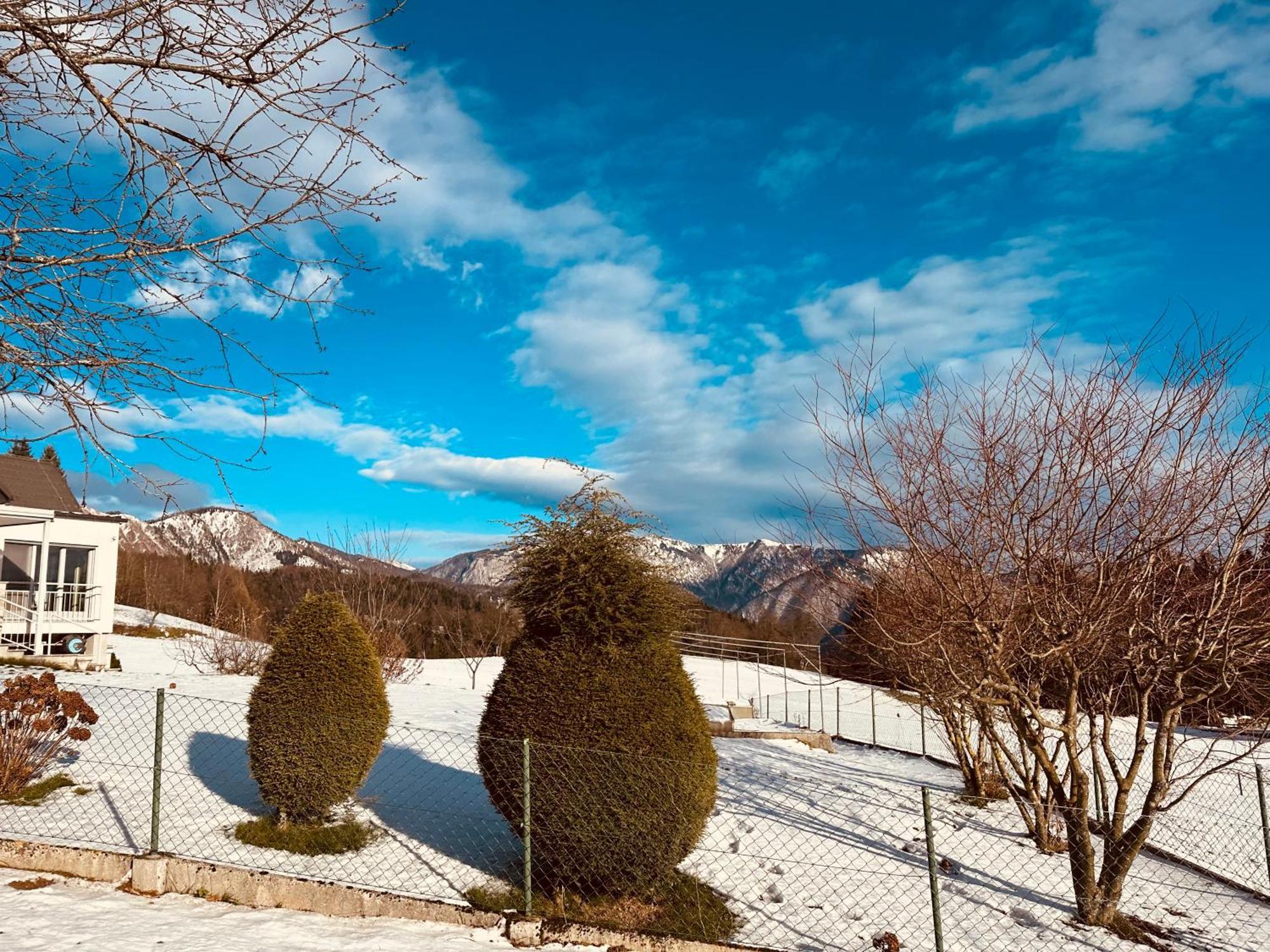 Chalet Pjagodic Cerklje na Gorenjskem Εξωτερικό φωτογραφία